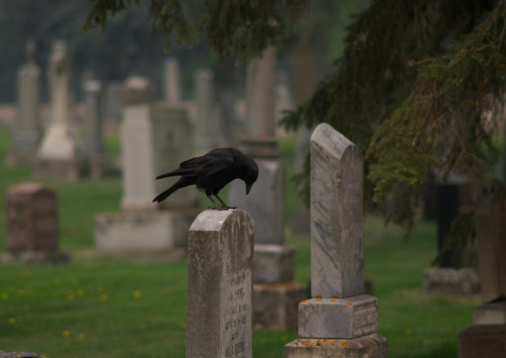 The Best Ways to Pay Condolences to a Grieving Family