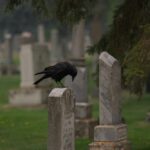 The Best Ways to Pay Condolences to a Grieving Family