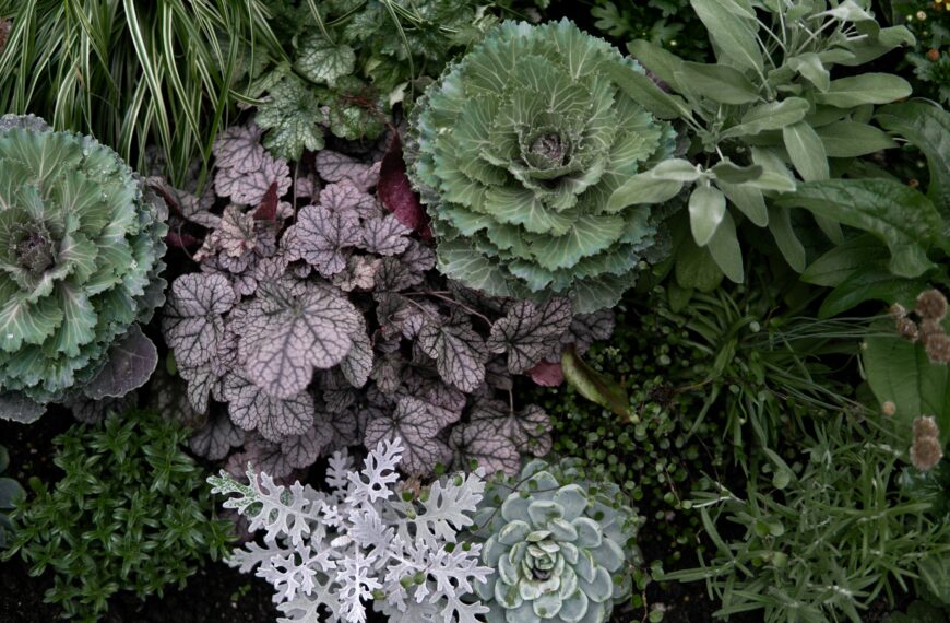 The Beginner’s Companion Planting Guide for Raised Beds (That Actually Works)