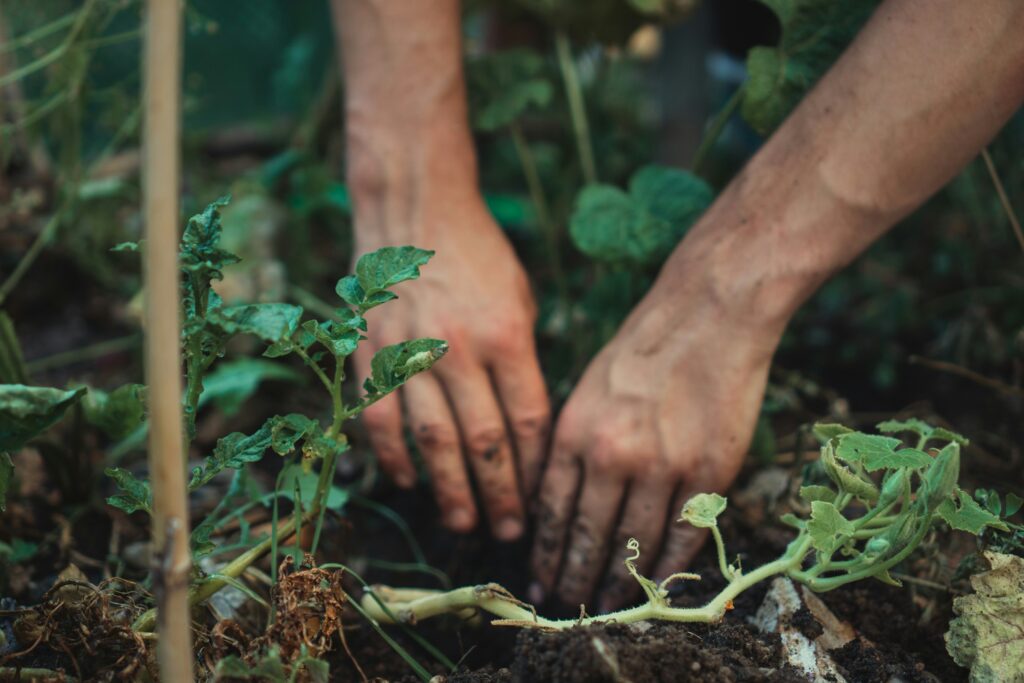 8 Gardening Hacks That Save Busy People Real Time and Money