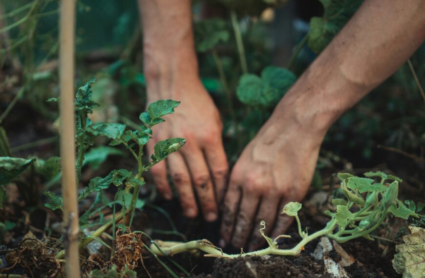 8 Gardening Hacks That Save Busy People Real Time and Money