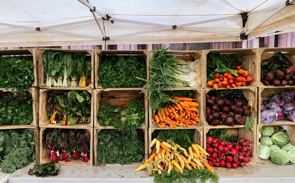 Gardening for Beginners: 10 Best Vegetables to Grow (That Actually Survive!)