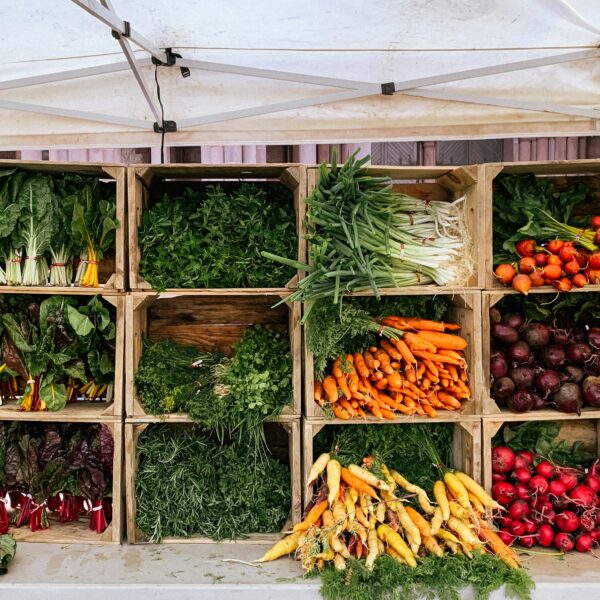 Gardening for Beginners: 10 Best Vegetables to Grow (That Actually Survive!)