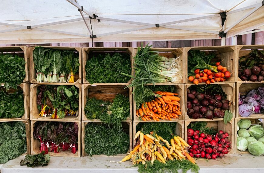 Gardening for Beginners: 10 Best Vegetables to Grow (That Actually Survive!)