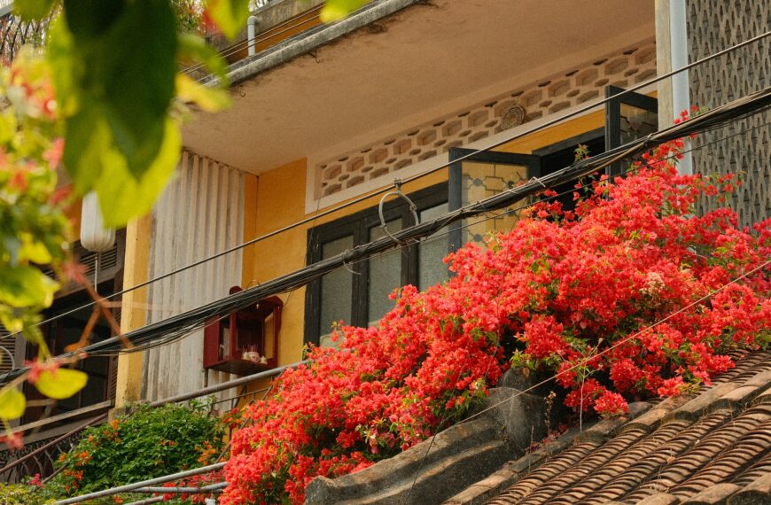 How to Start Planting Flowers at Home (Even If You’ve Never Grown Anything Before)