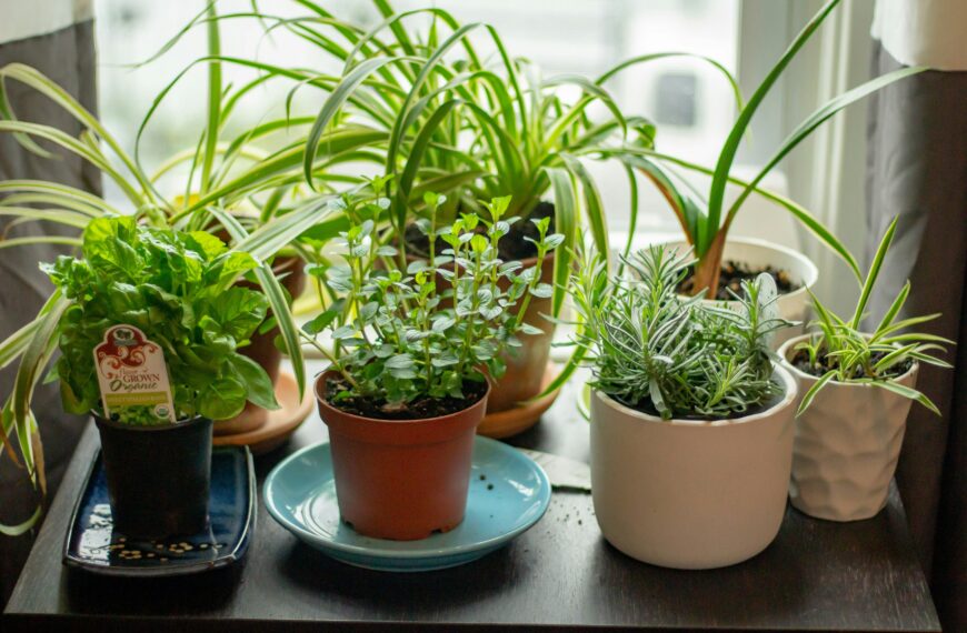 Indoor Herb Garden Ideas for Fresh Herbs All Year Long