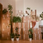 Home Organization Tips After Moving: A Step-by-Step Plan to Unpack Without Feeling Overwhelmed