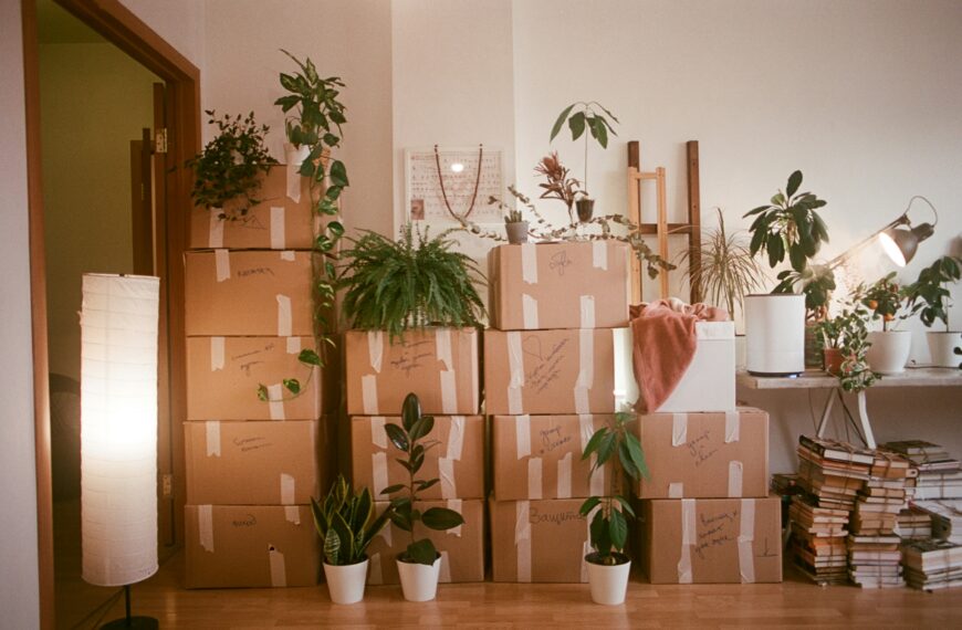Home Organization Tips After Moving: A Step-by-Step Plan to Unpack Without Feeling Overwhelmed