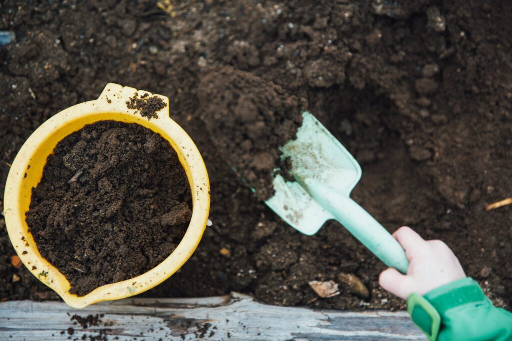 Composting for Beginners: Simple Composting Ideas That Turn Kitchen Scraps Into Garden Gold