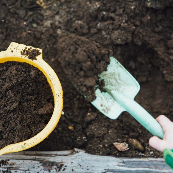 Composting for Beginners: Simple Composting Ideas That Turn Kitchen Scraps Into Garden Gold