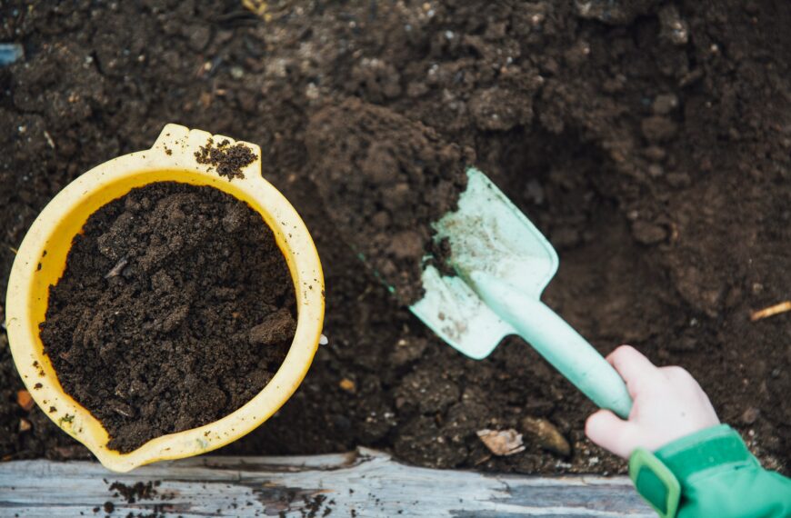 Composting for Beginners: Simple Composting Ideas That Turn Kitchen Scraps Into Garden Gold