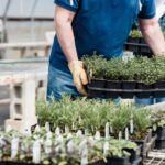 12 Smart Herb Garden Layout Ideas That Make Growing More Herbs Easier