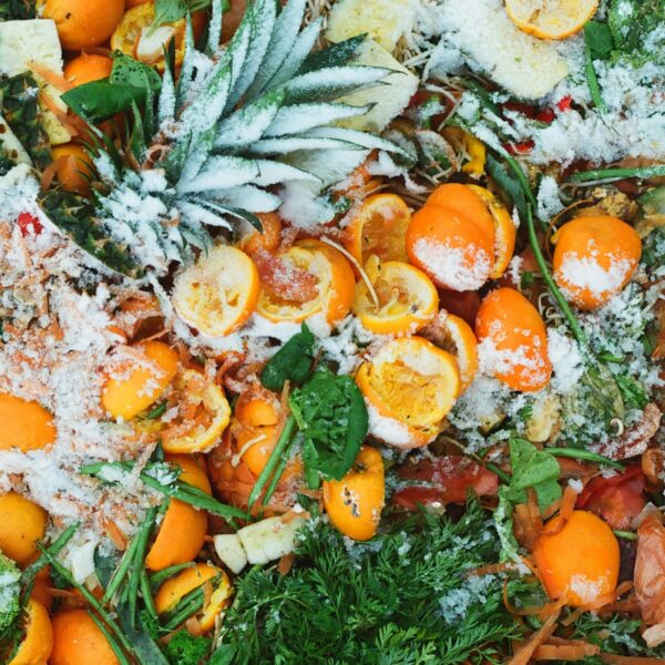 Kitchen Scraps for Compost: 15 Free Fertilizers Hiding in Your Pantry and Trash Bin