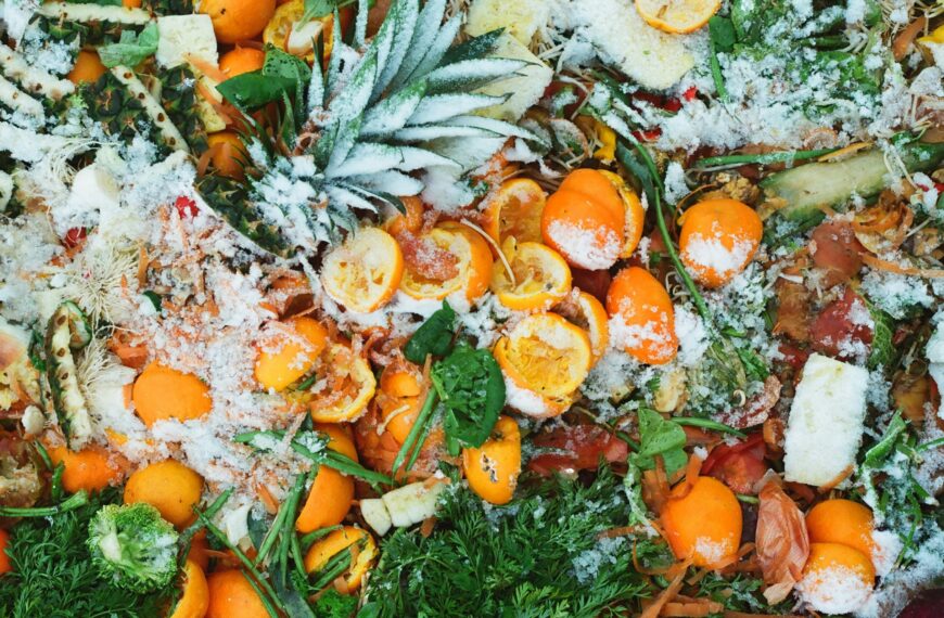 Kitchen Scraps for Compost: 15 Free Fertilizers Hiding in Your Pantry and Trash Bin