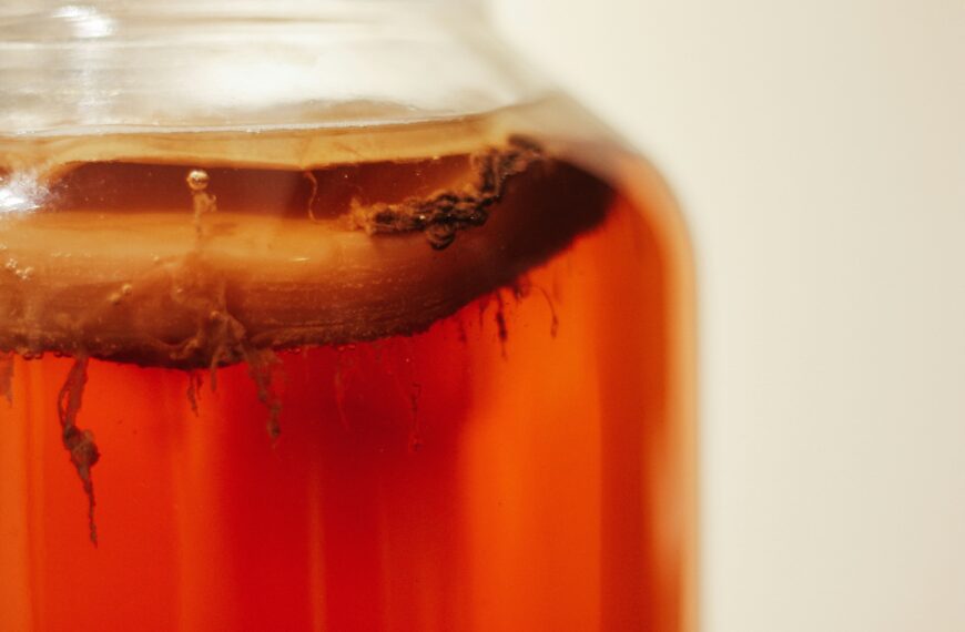 Organic Liquid Fertilizer for Plants: Easy Homemade Recipes for Healthy Growth