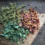 How to Preserve Herbs: The Easiest Ways to Dry Fresh Herbs Without Wasting Your Harvest