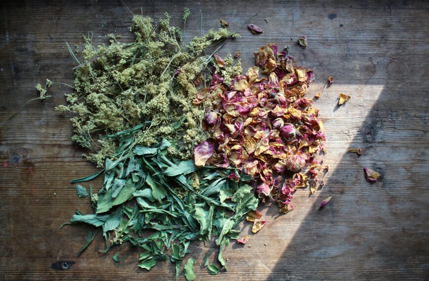 How to Preserve Herbs: The Easiest Ways to Dry Fresh Herbs Without Wasting Your Harvest