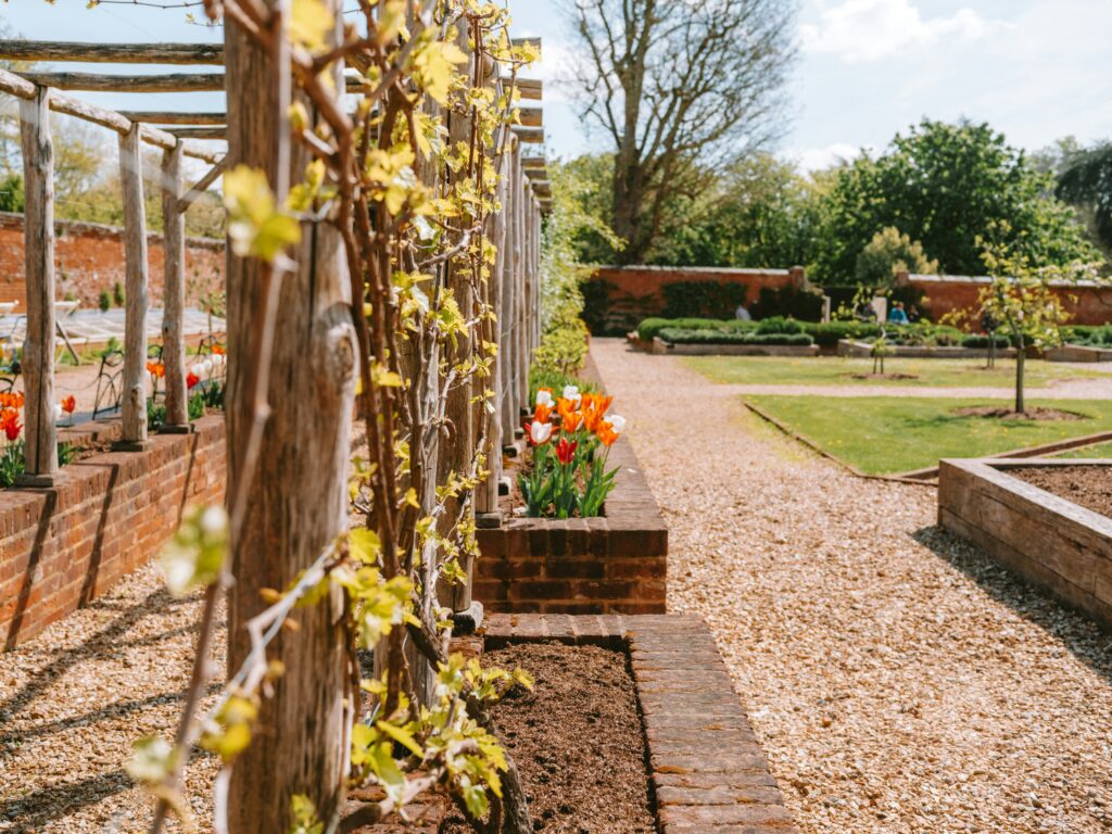 25 Best Companion Plants to Grow Together for a Healthier Garden