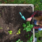12 Garden Layout Ideas That Make Small Gardens Feel Bigger and More Productive