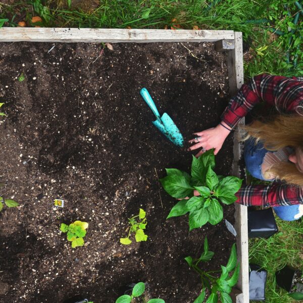 12 Garden Layout Ideas That Make Small Gardens Feel Bigger and More Productive