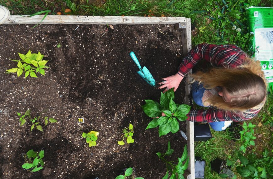 12 Garden Layout Ideas That Make Small Gardens Feel Bigger and More Productive