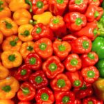 Natural Fertilizer for Peppers: 10 Organic Fertilizers That Grow Healthier, More Flavorful Produce
