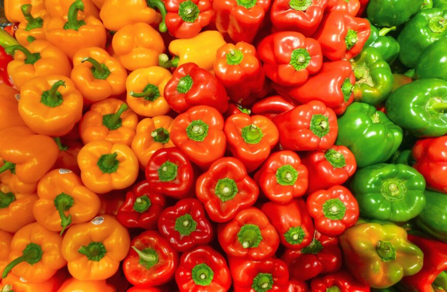 Natural Fertilizer for Peppers: 10 Organic Fertilizers That Grow Healthier, More Flavorful Produce