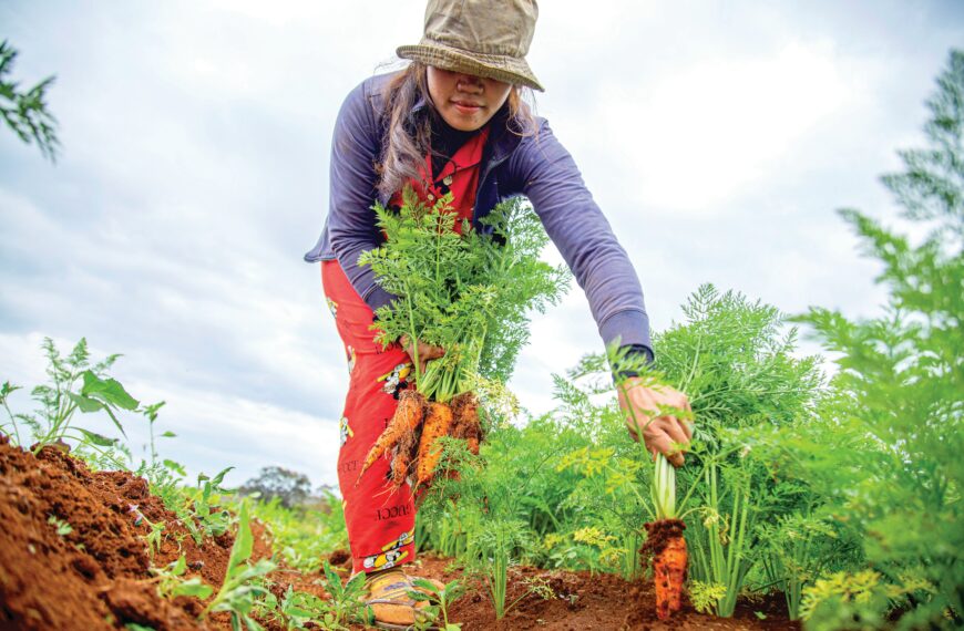 Plants to Grow in Every Month of the Year: A Simple Month-by-Month Planting Guide for Bigger Harvests