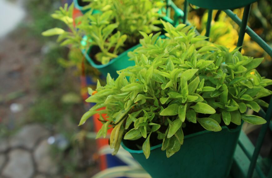 15 Vegetables to Grow in Hanging Baskets for a Small-Space Garden