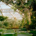 Greenhouse Gardening for Beginners: How to Start, Plant, and Grow Successfully