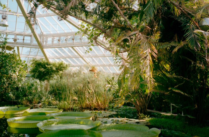 Greenhouse Gardening for Beginners: How to Start, Plant, and Grow Successfully