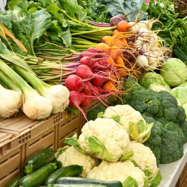 15 Vegetables to Grow in Winter for a Fresh Garden Even in the Cold