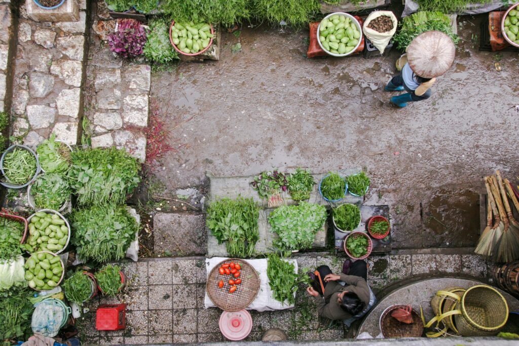 13 Vegetables to Grow in Rainy Season for a Productive Monsoon Garden