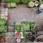 13 Vegetables to Grow in Rainy Season for a Productive Monsoon Garden