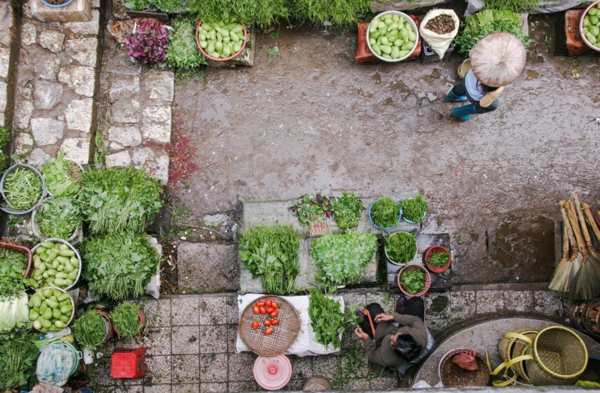 13 Vegetables to Grow in Rainy Season for a Productive Monsoon Garden